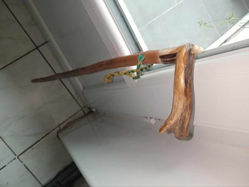 Wandelstok 83 cm, Ophalen of Verzenden