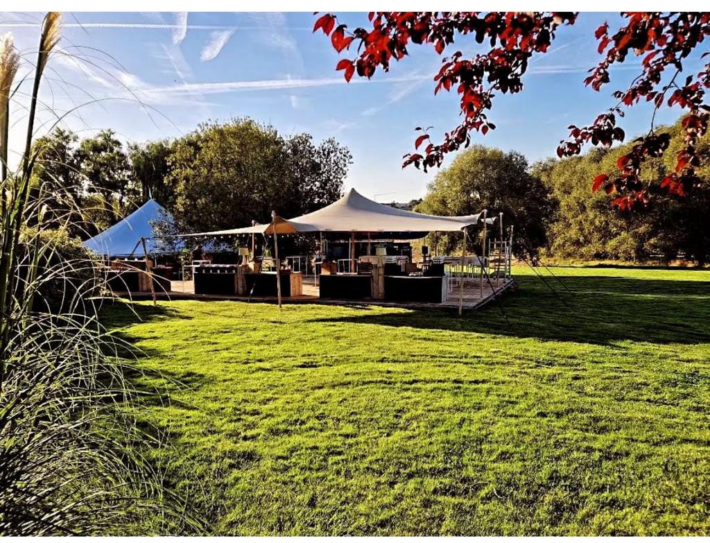 Stretch tent te koop