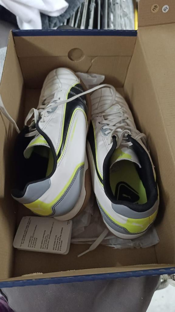 PUMA zaalvoetbal schoenen NIEUWSTAAT mt 42, Sport en Fitness, Voetbal, Ophalen of Verzenden, Zo goed als nieuw, Schoenen
