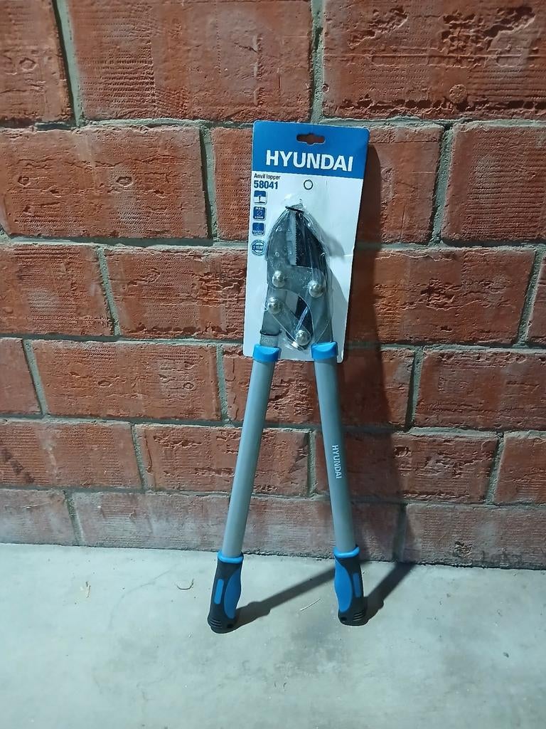 Takkenschaar hyundai, Tuin en Terras, Ophalen