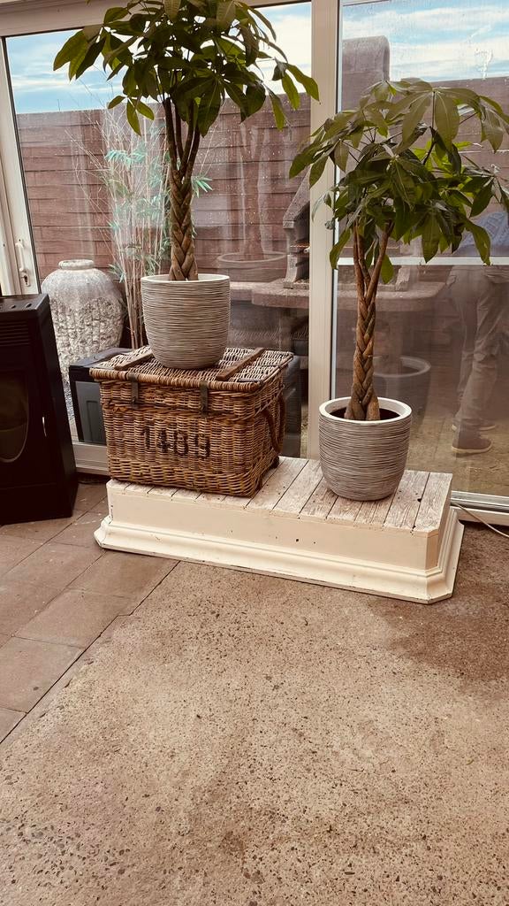 Podium (sans plantes), Enlèvement
