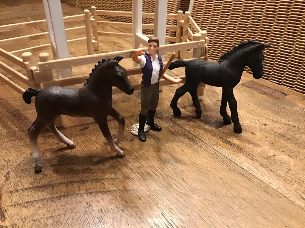 2 chevaux Schleich, 1 schleichamazone et accessoires, Enlèvement ou Envoi, Comme neuf