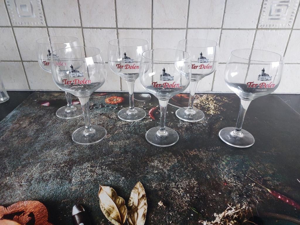 Ter Dolen bierglazen, Verzamelen, Ophalen of Verzenden, Zo goed als nieuw, Bierglas