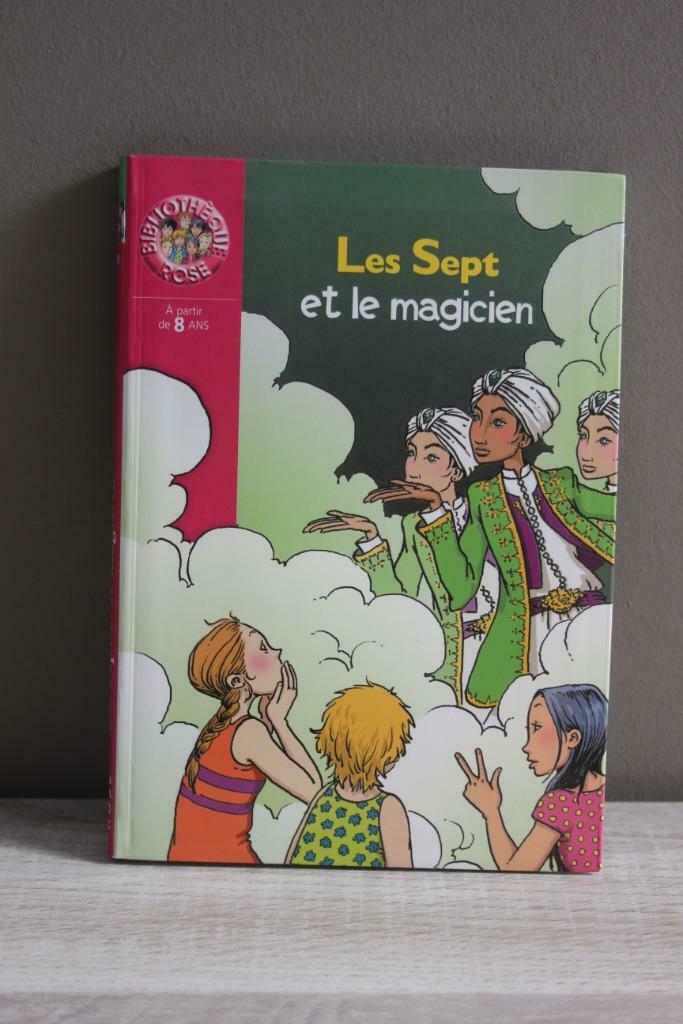 Les Sept et le magicien (Bibliothèque rose dès 8 ans) NEUF, Livres, Enlèvement ou Envoi, Neuf