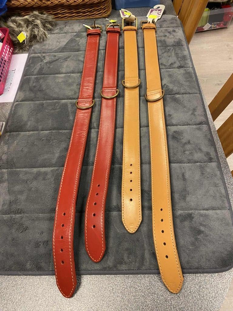 Halsband voor zeer grote hond aan outlet, Ophalen of Verzenden, Nieuw