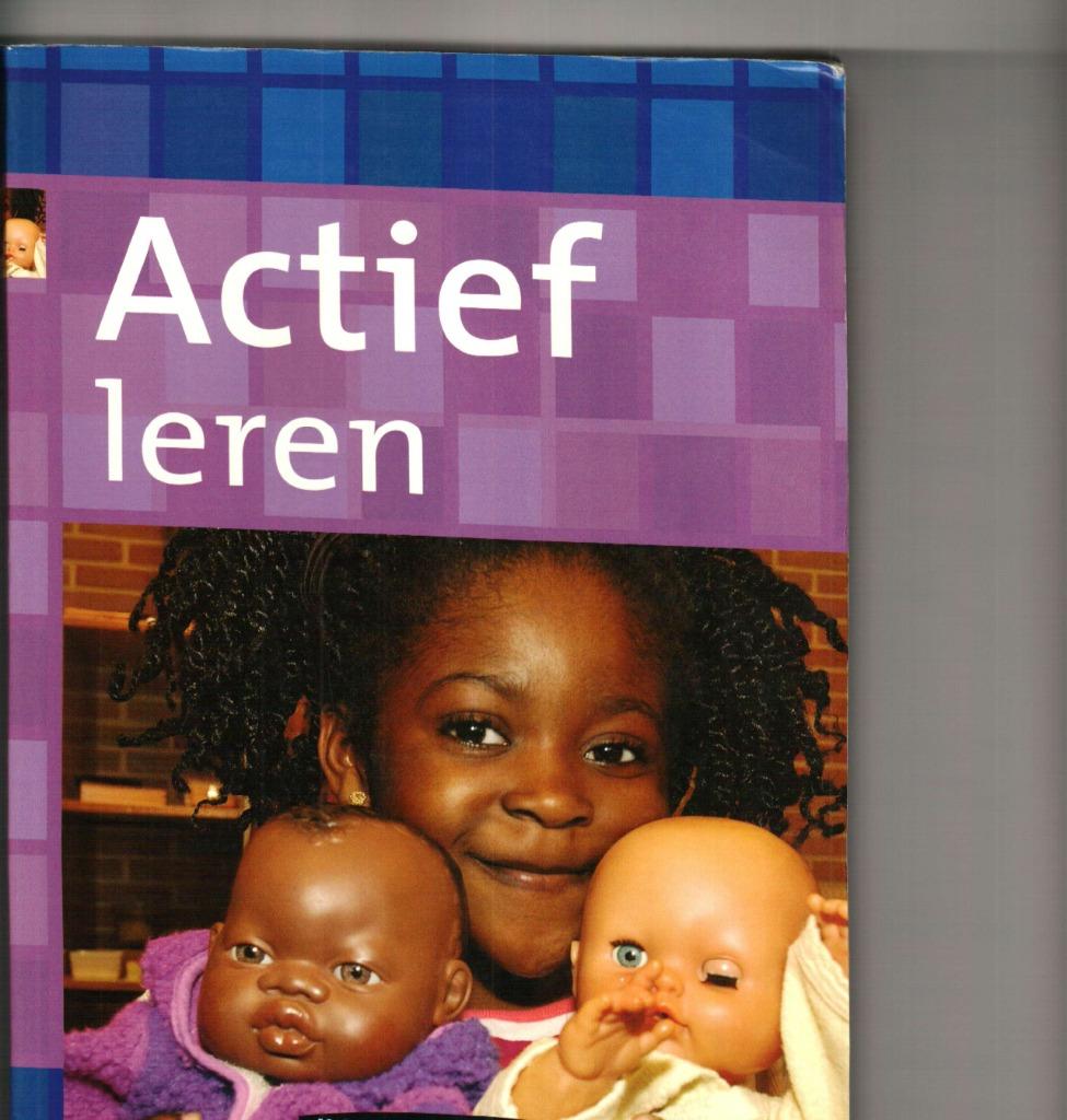 Actief leren Thieme Meulenhof 410 blz, Ophalen of Verzenden, Zo goed als nieuw