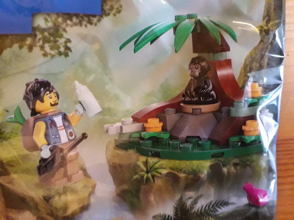 Lego City Jungle 30665 Baby Gorilla Encounter (2024) polybag, Enlèvement ou Envoi, Comme neuf, Ensemble complet, Lego