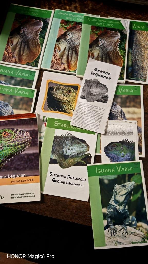 Gedetailleerde boeken Ivm. Groene leguaan voornamelijk, Ophalen of Verzenden, Zo goed als nieuw