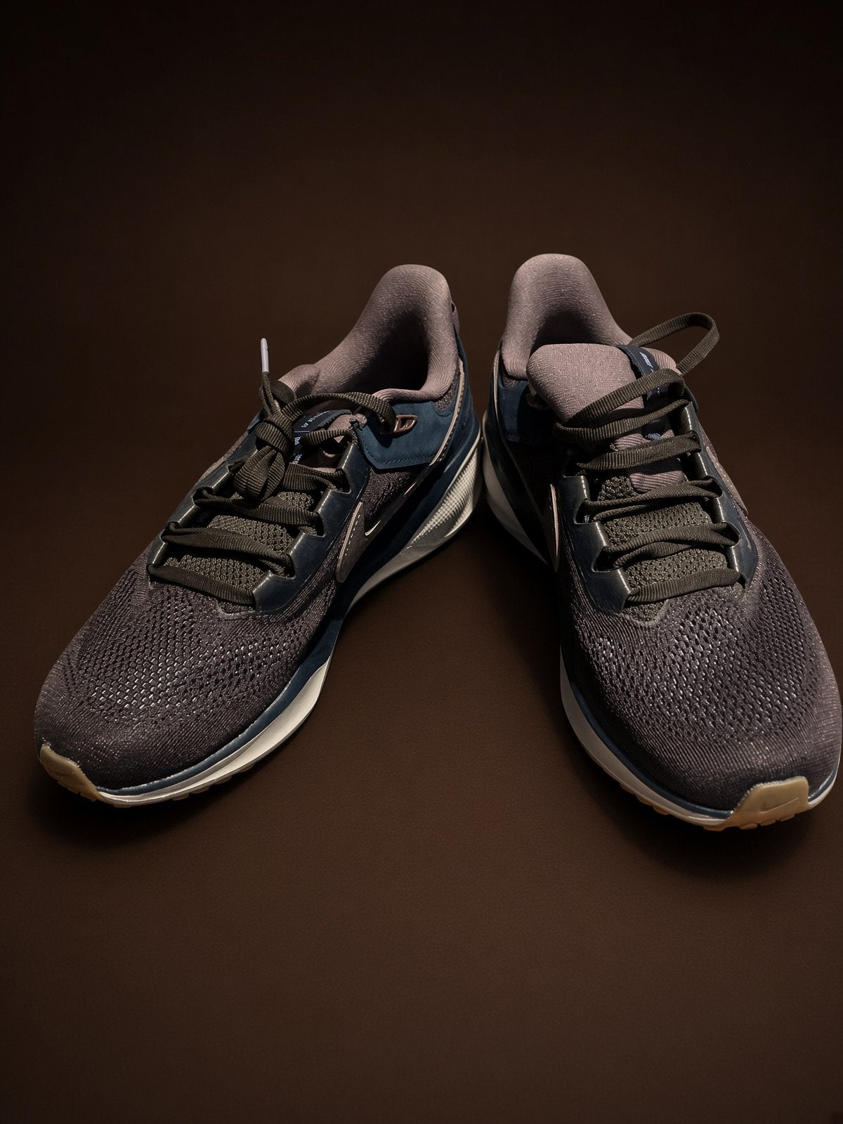 Nike Performance Pegasus 41 SP maat:EU39 bruin met paars