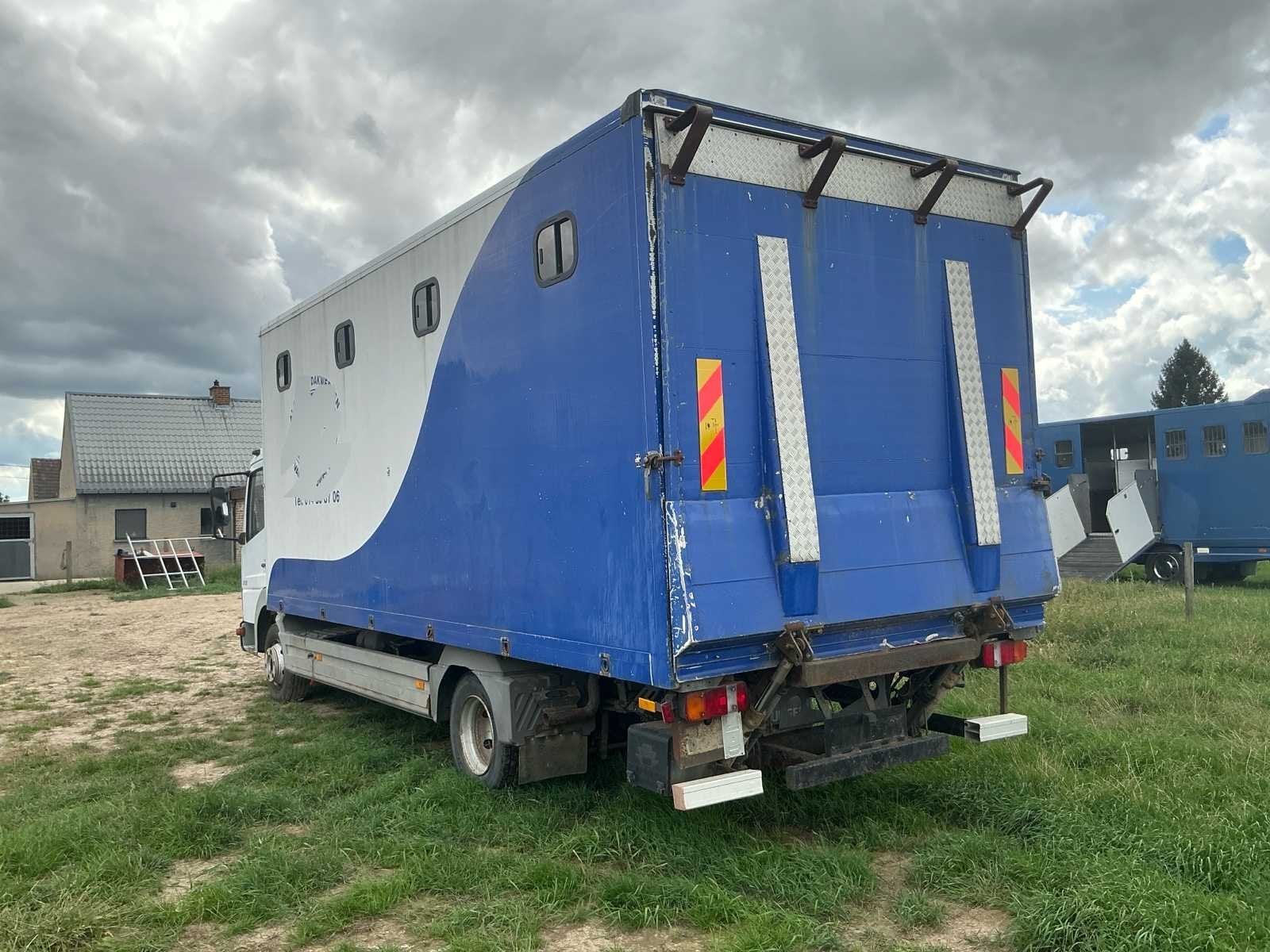 Mercedes 815 Horse truck 2005 avec hayon arrière, Autos, Achat, Entreprise, Autres carburants, Mercedes-Benz