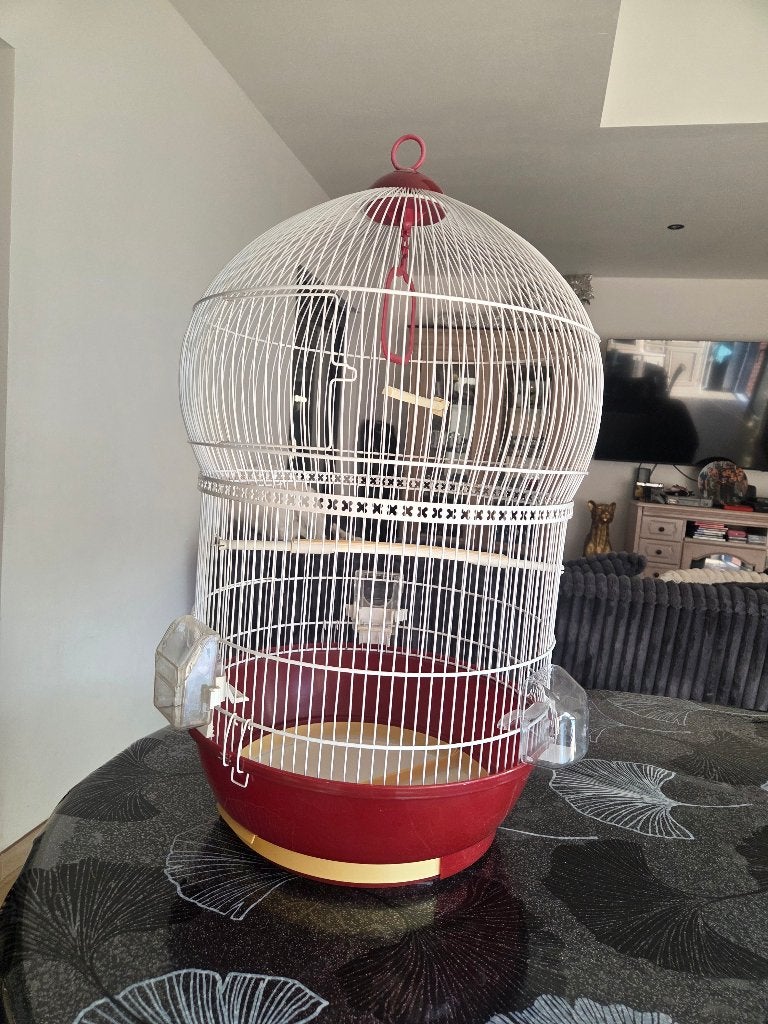 Grande Cage ronde à oiseau, Enlèvement, Comme neuf