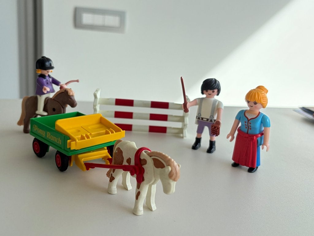 Paard Ruiter Ponywagen Playmobil, Enlèvement, Figurines, Pièces détachées, Family fun