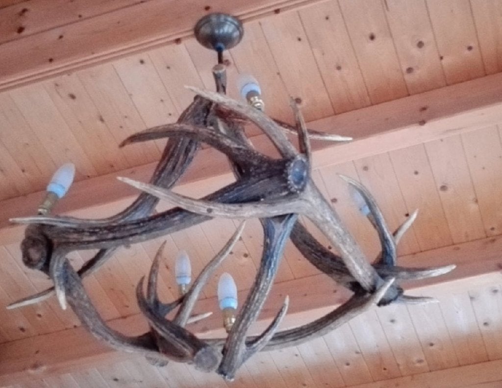 Suspension en bois de cerf véritable, Maison & Meubles, Lampes | Suspensions, Enlèvement, Comme neuf, Bois, E14 (petit)