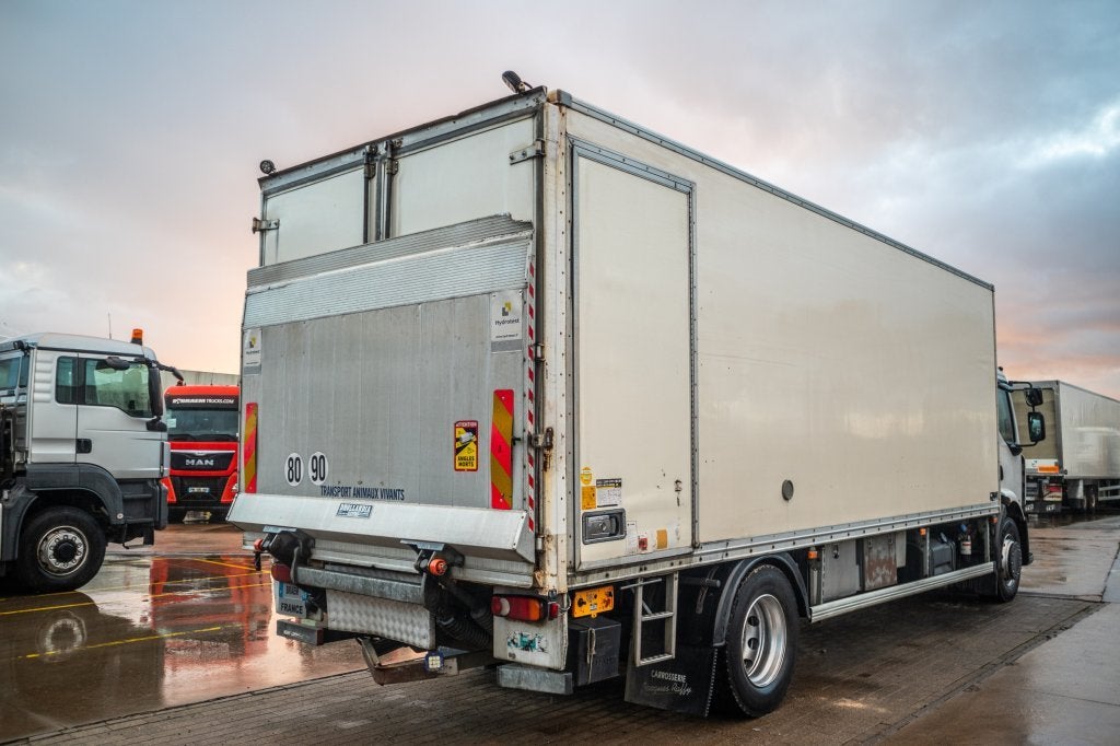 Renault PREMIUM 300DXI+POUSSIN/CHICKEN/KUIKEN/KÛKEN+DHOLLAN, Auto's, Automaat, Euro 5, Achterwielaandrijving, 300 pk