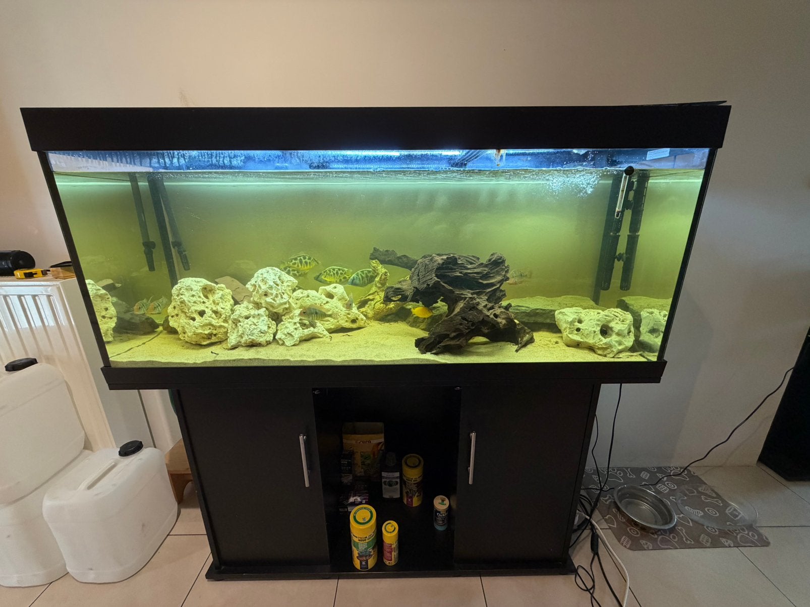 Aquarium complet, Aquarium d'eau douce rempli, Comme neuf, Enlèvement, Chauffage