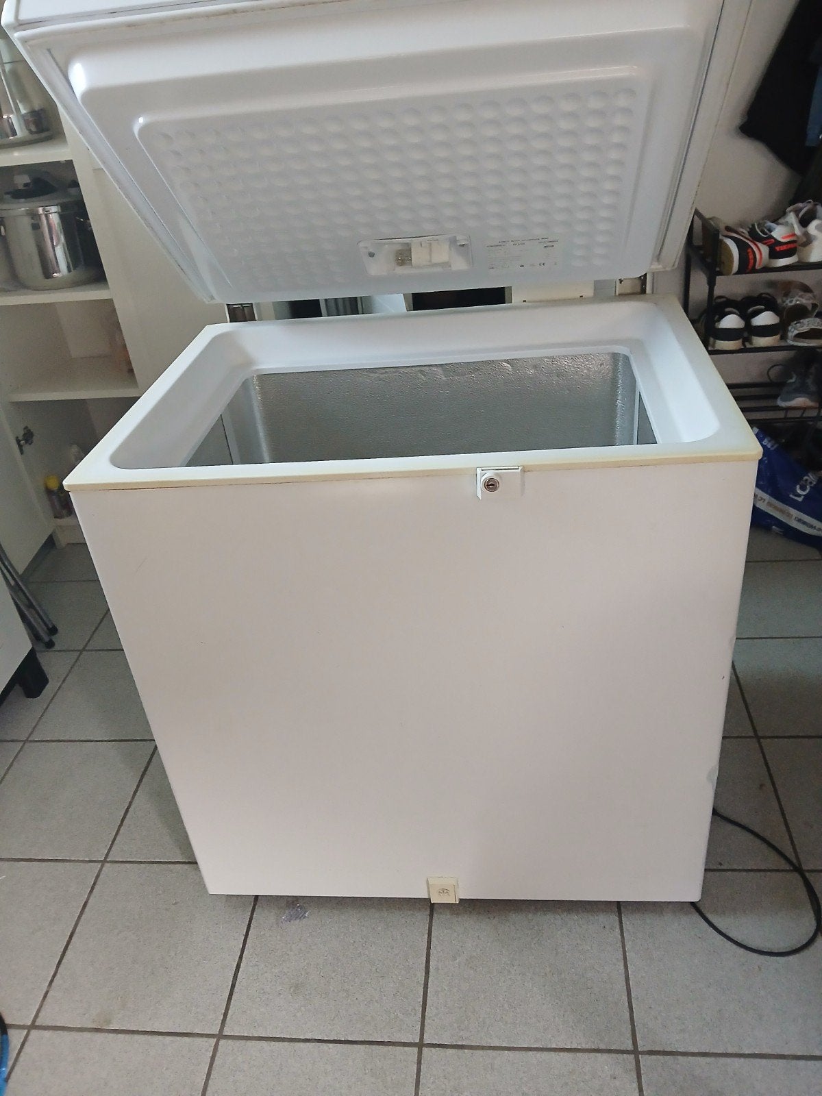 Diepvries Bosch, Elektronische apparatuur, Vriezers en Diepvrieskisten, Ophalen
