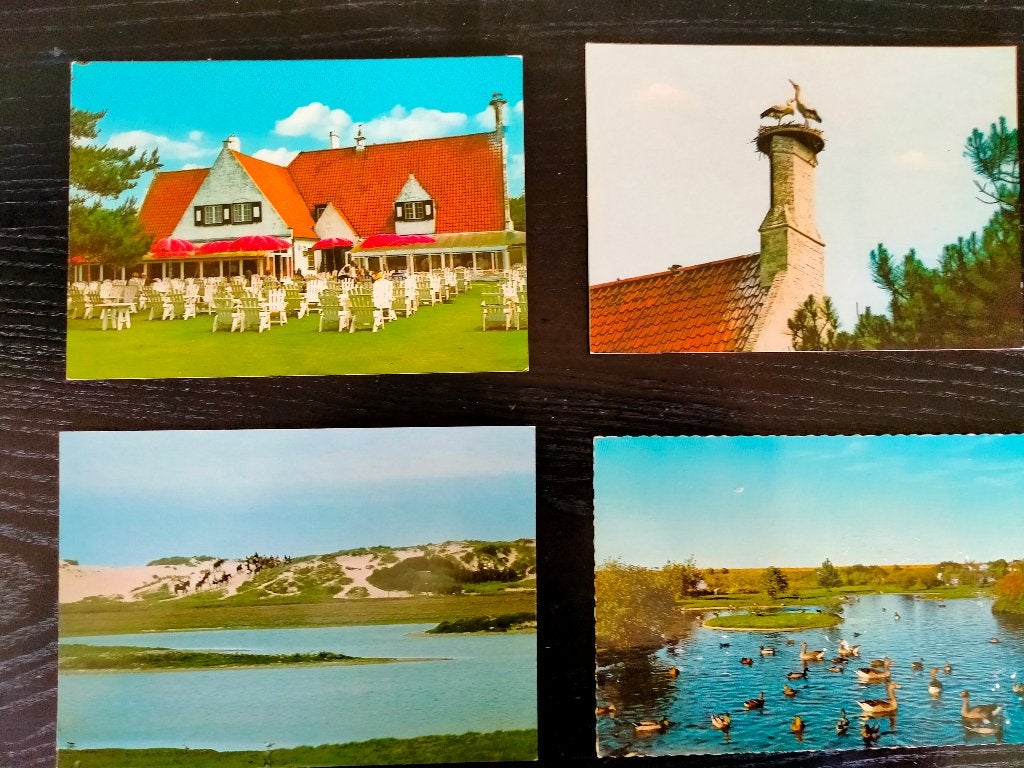 Postkaarten Het Zwin, Ophalen of Verzenden, 1980 tot heden, Ongelopen, West-Vlaanderen