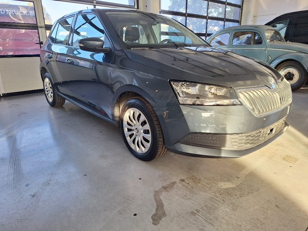 Skoda Fabia, Argent ou Gris, Achat, Euro 6, Entreprise