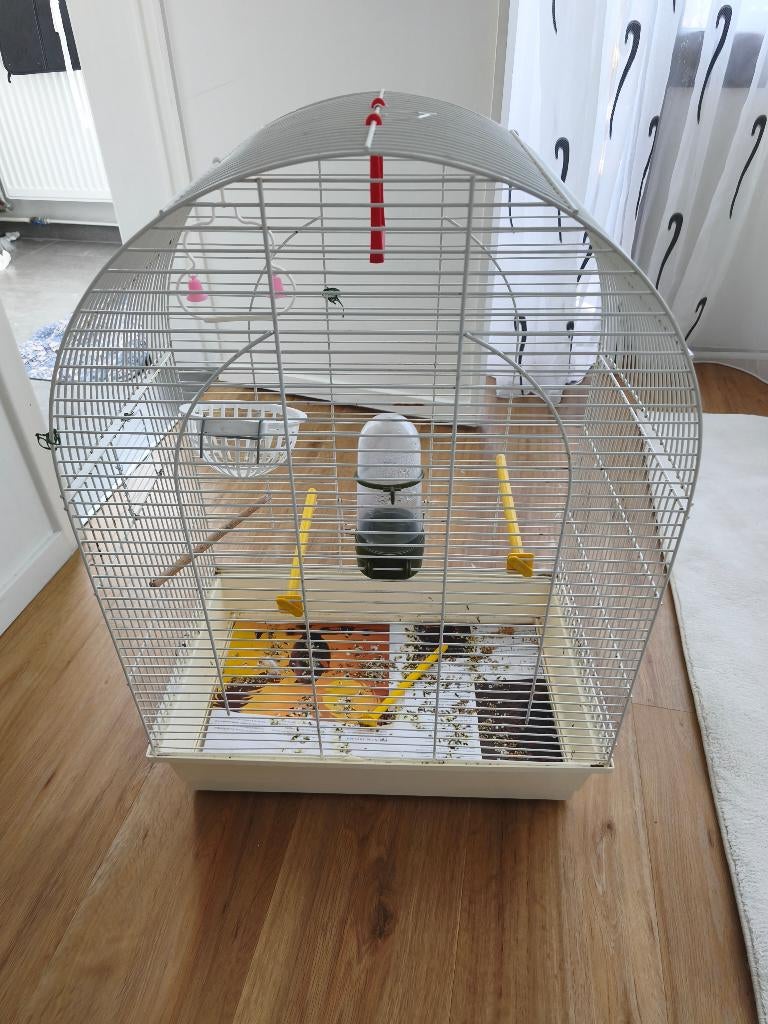 Vogelkooi te koop