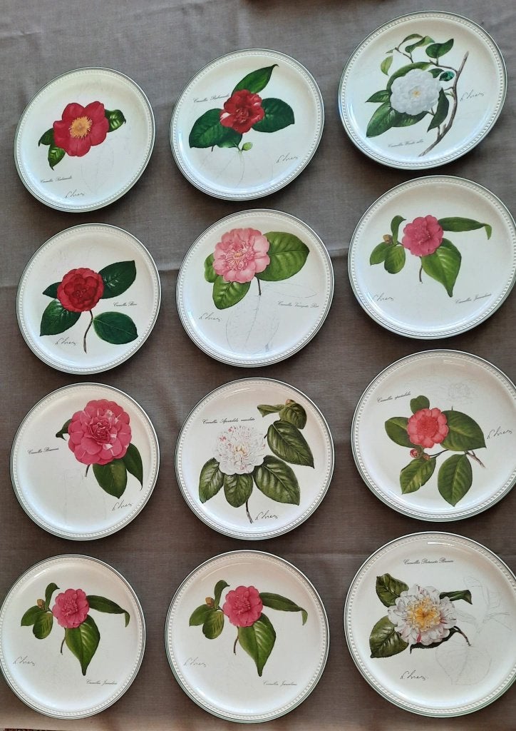 Villeroy&Boch | 12 assiettes décoratives 1991-2000, Neuf, Assiettes(s), Villeroy & Boch, Enlèvement