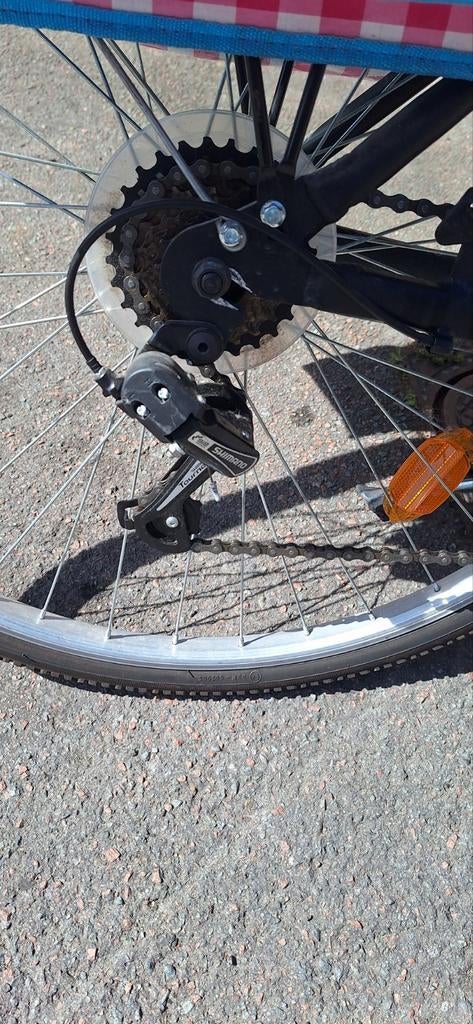 Velo dame 28, Enlèvement