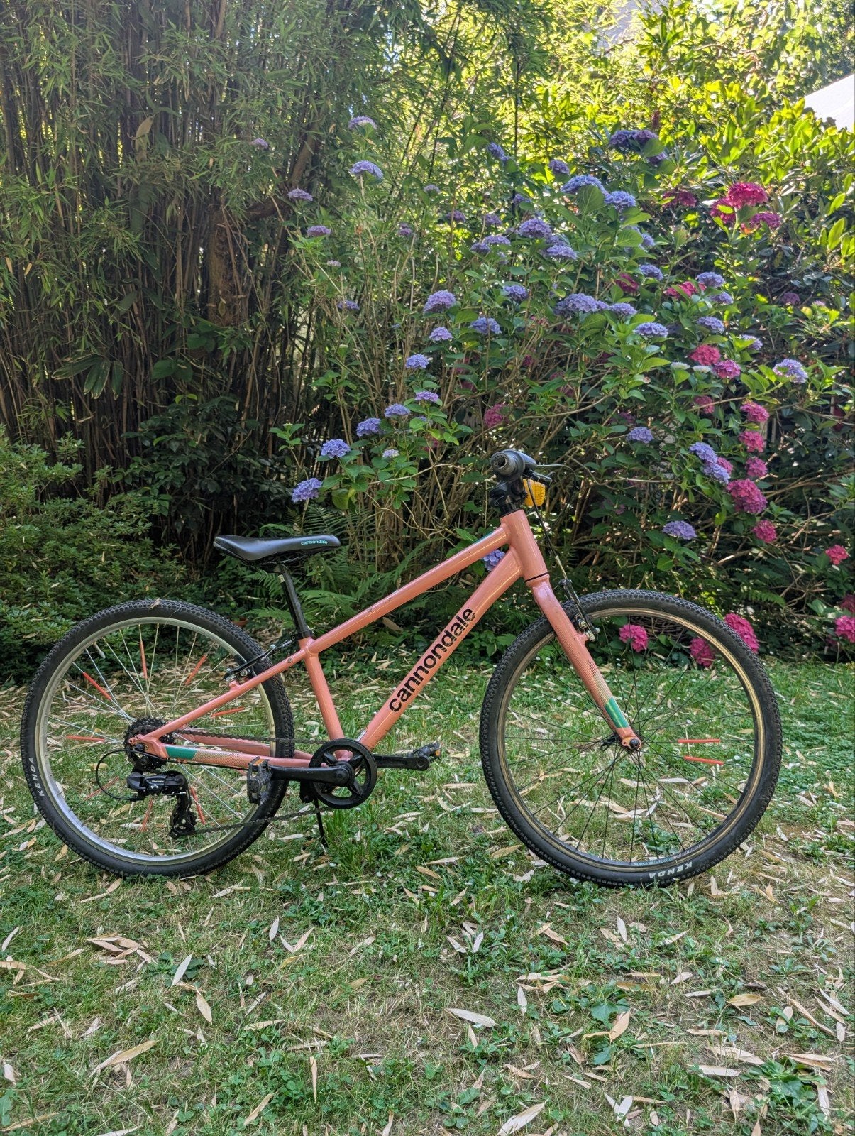 CANNONDALE quick 7 vitesses 24 poice