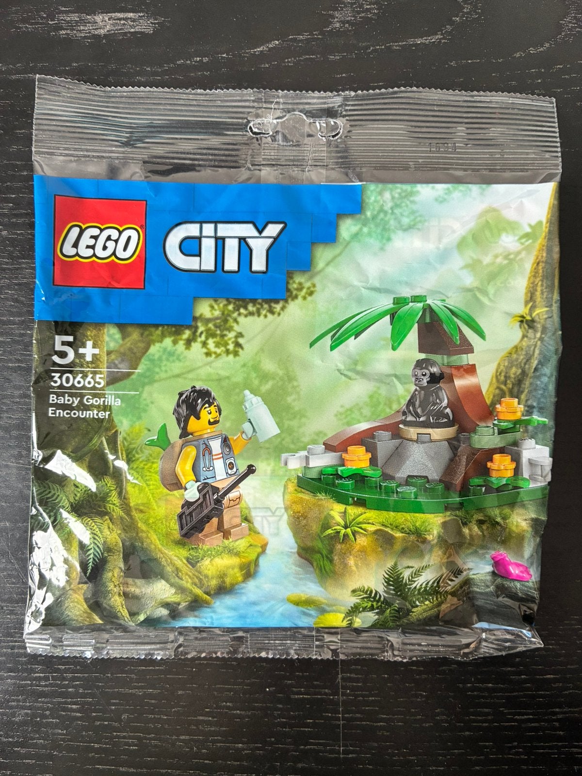 LEGO CITY 39665, Enfants & Bébés, Jouets | Duplo & Lego, Neuf, City, Enlèvement ou Envoi, Lego