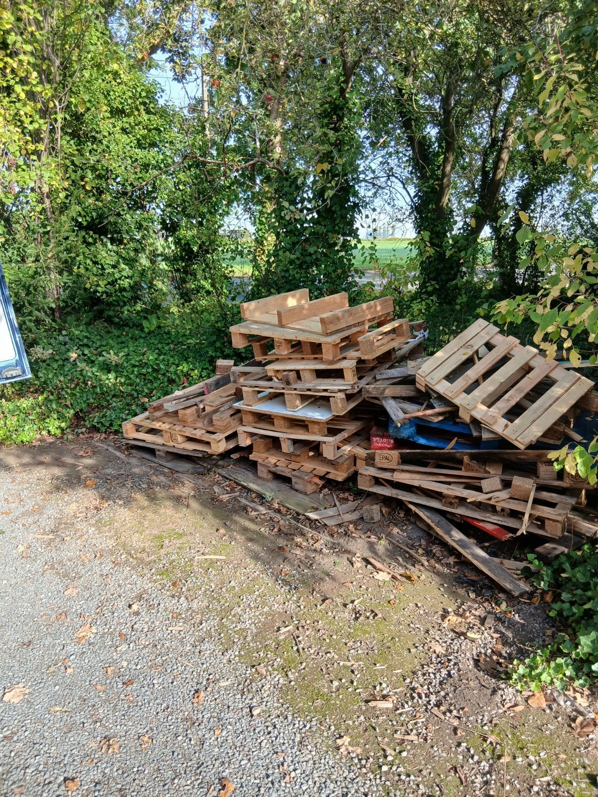 brandhout paletten., Ophalen