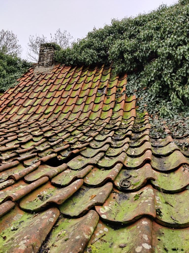 Oude rode Boomse dakpannen uit de jaren 1800, Ophalen, Dakpannen