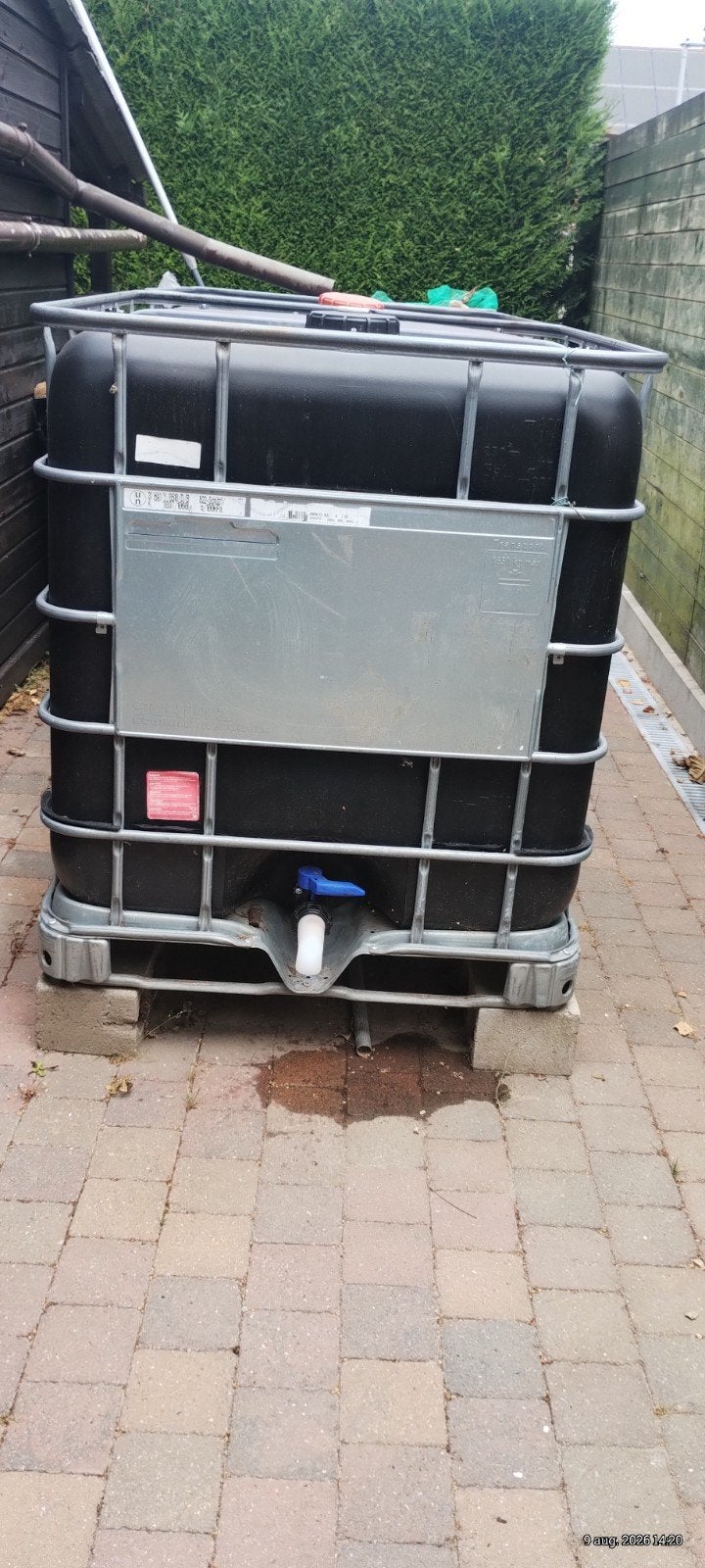 1 ibc container zwart anti algen, met kraan, Enlèvement, Comme neuf, Avec robinet