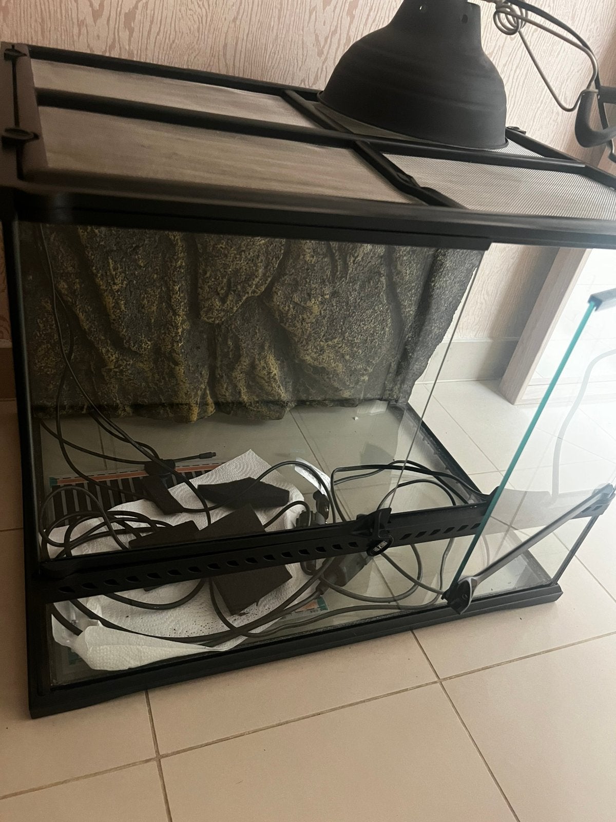 Exp terra terrarium 45x60x45, Animaux & Accessoires, Reptiles & Amphibiens | Accessoires, Enlèvement, Comme neuf