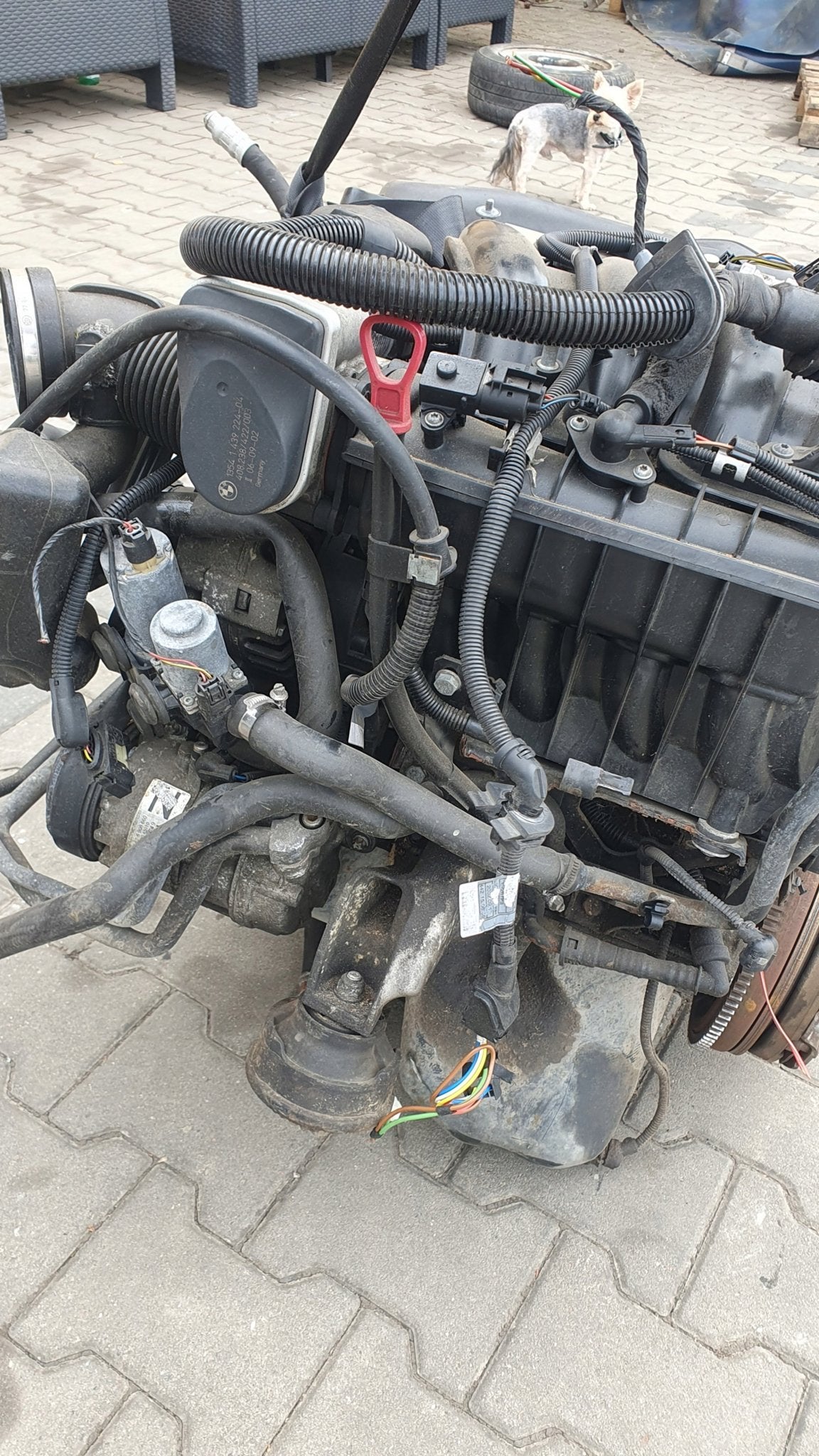 Moteur N46B18A Complet E46 BMW, Envoi, Utilisé, Skoda