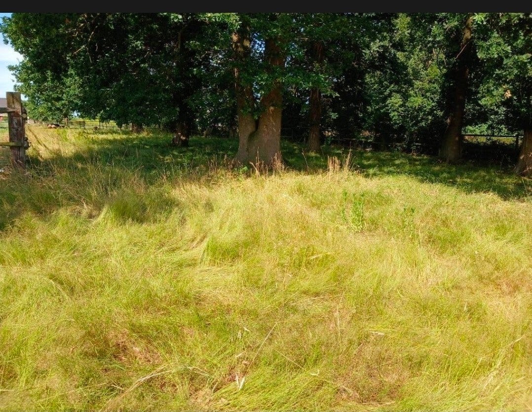 mooie weide landbouwgrond weiland te koop