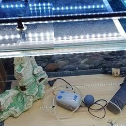 A.VEND AQUARIUM. L 120 x l 40 x H 50, Enlèvement, Comme neuf, Aquarium vide