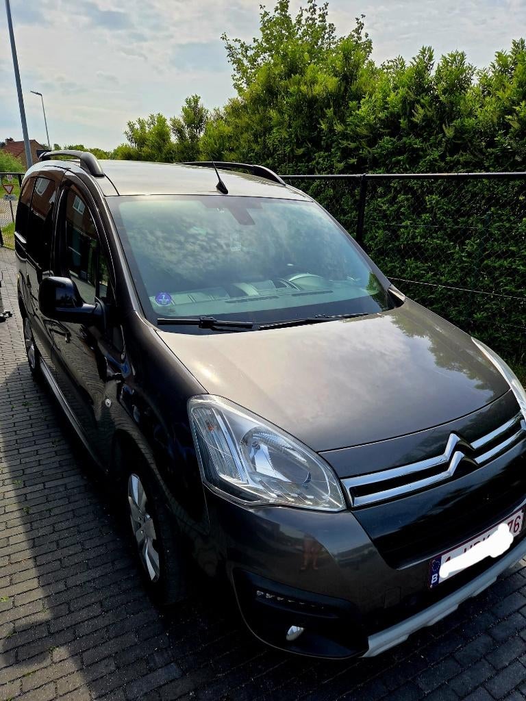 Citroën Berligo Multispace   Benzine, Auto's, Voorwielaandrijving, Euro 6, 1192 cc, Bruin