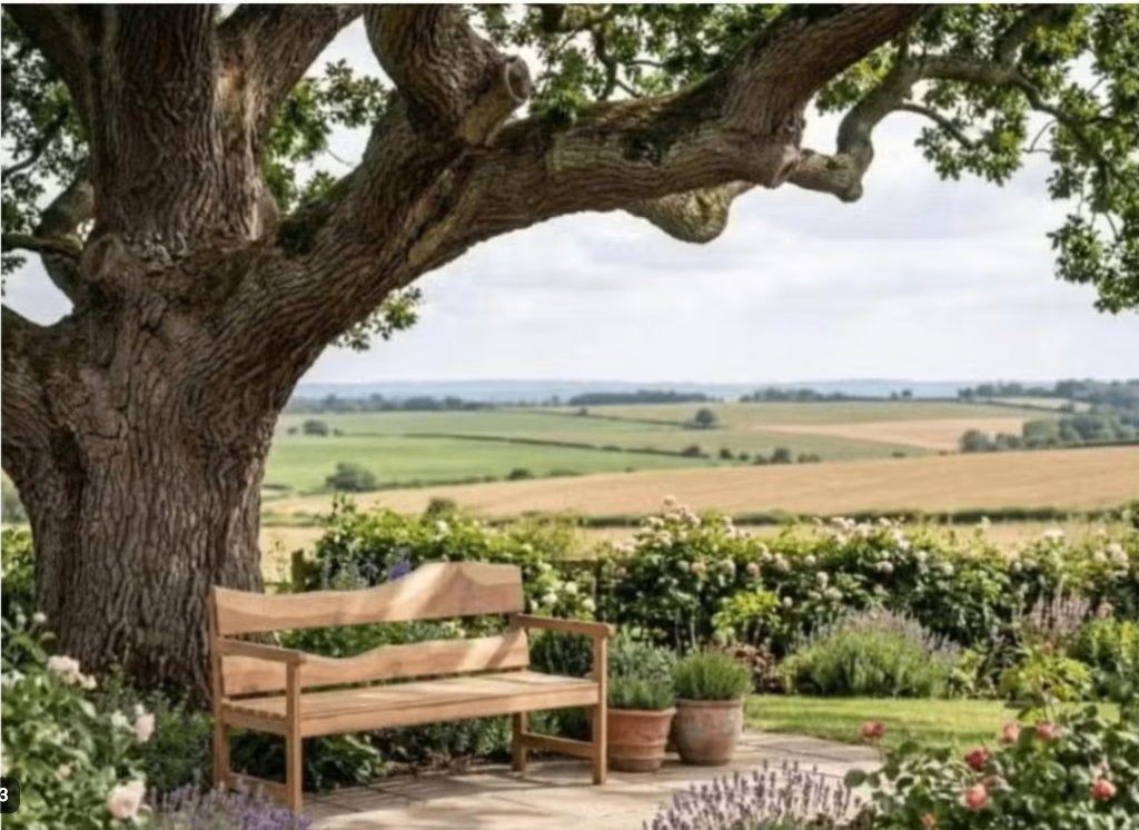tuinbank, Jardin & Terrasse, Bancs de jardin, Utilisé, Bois, Enlèvement
