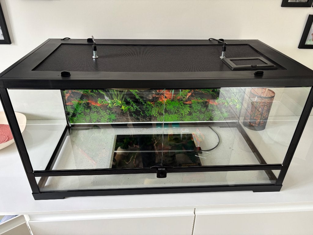 Terrarium + toebehoren, Animaux & Accessoires, Enlèvement, Utilisé, Terrarium ou Paludarium