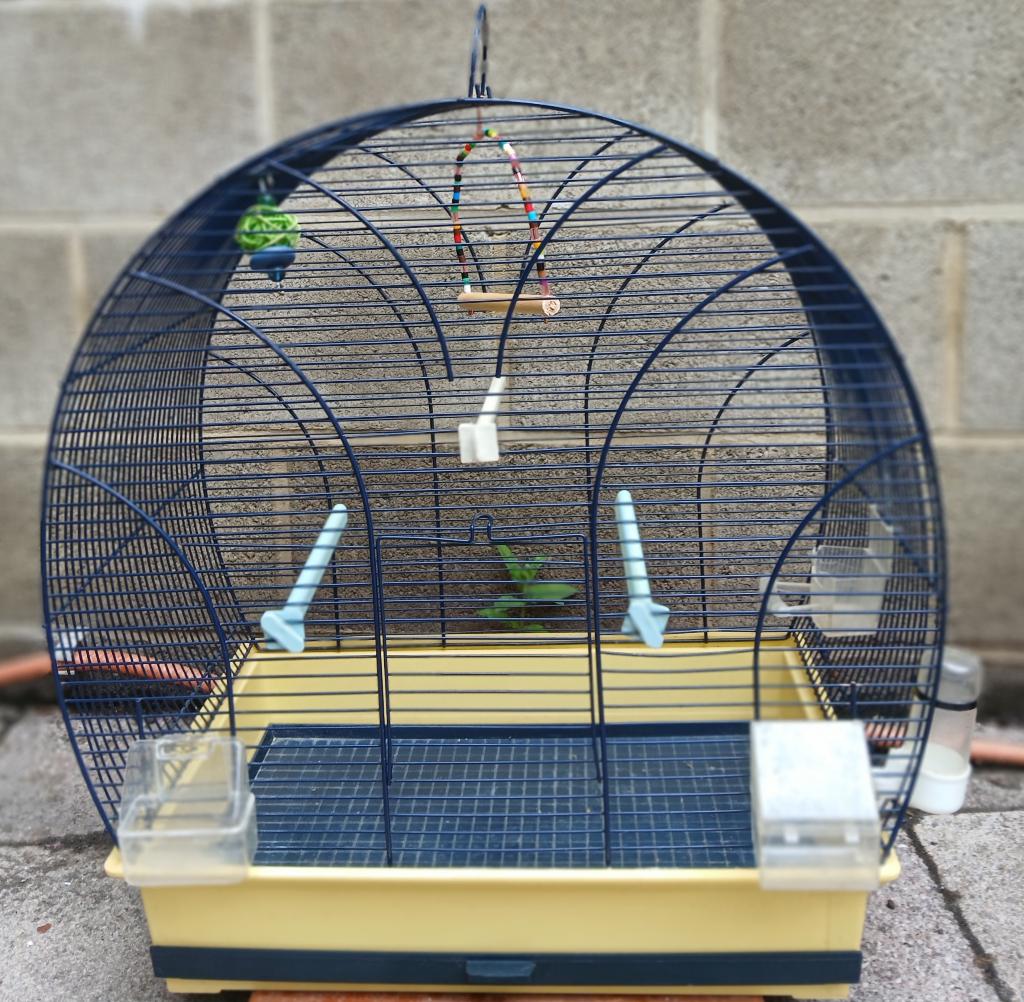 Cage oiseaux avec ses accessoires complets, Dieren en Toebehoren, Vogels | Hokken en Kooien, Ophalen of Verzenden