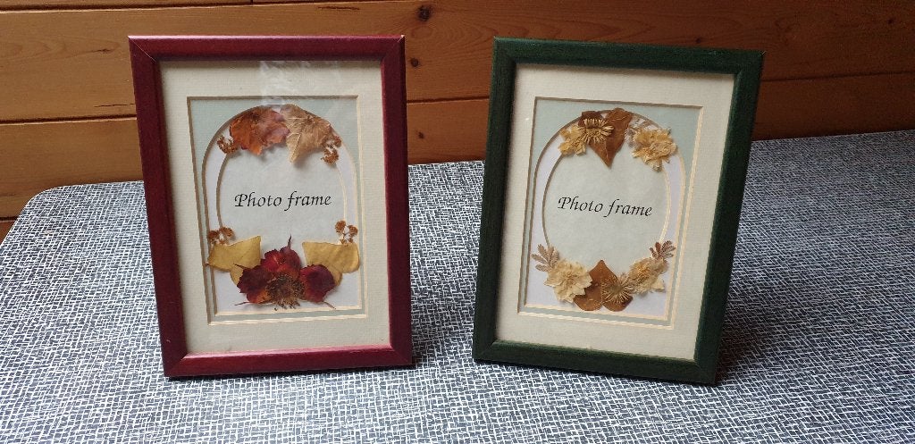 Fotokadertjes, Ophalen of Verzenden, Zo goed als nieuw, Standaard fotolijst