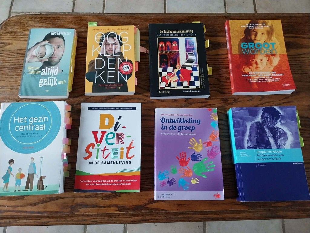 Studieboeken Bachelor SO Ned-Eng en Soc. Readaptatiewetensch, Livres, Livres scolaires, Comme neuf, Enlèvement, Autres matières