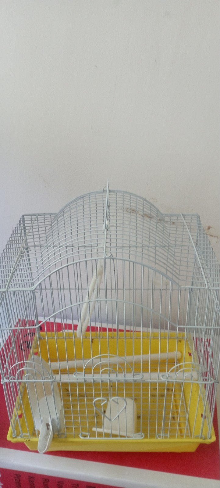 Accessoires pour oiseaux, Animaux & Accessoires, Oiseaux | Accessoires, Enlèvement