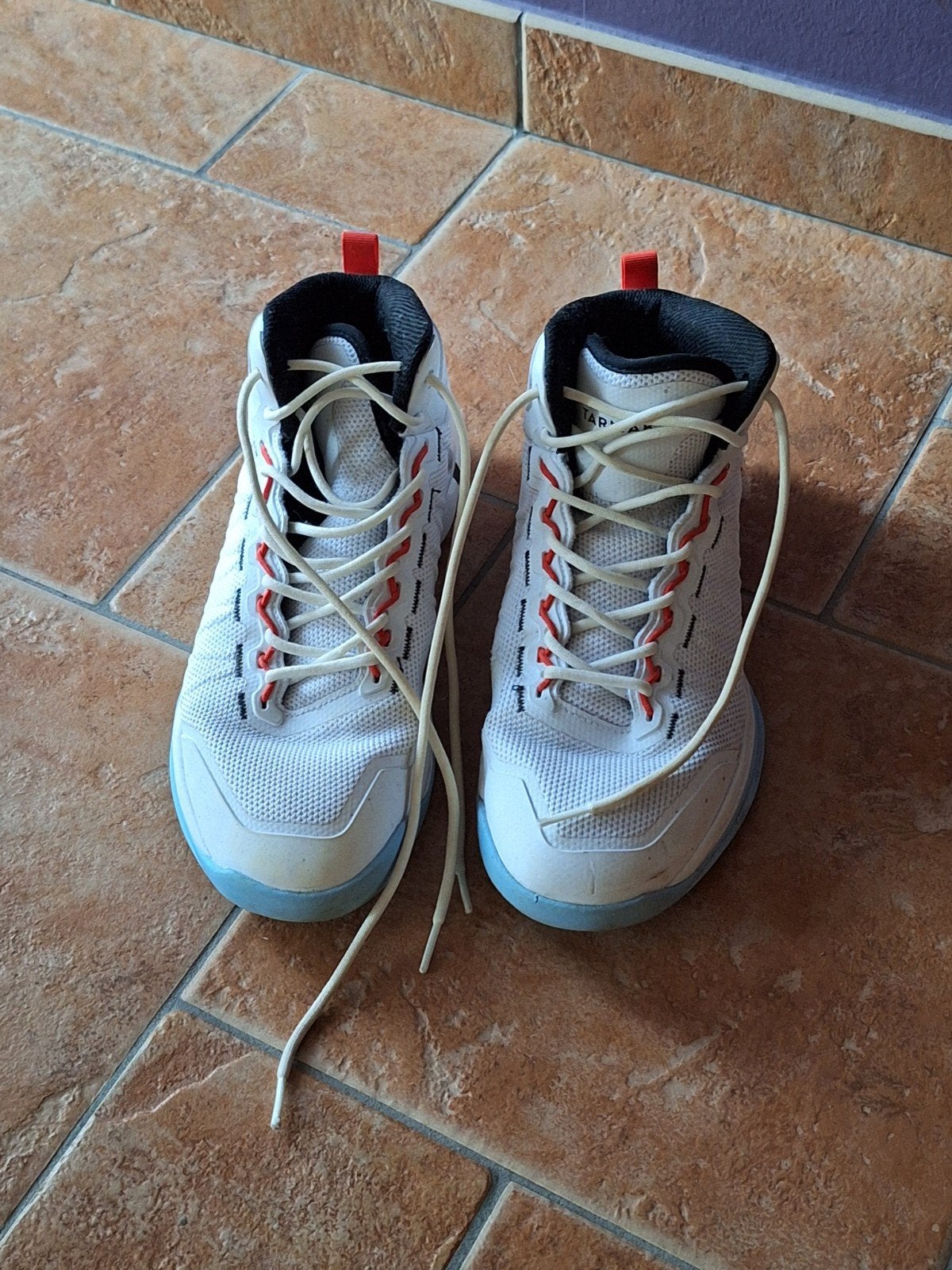 basketbalschoenen, Sport en Fitness, Basketbal, Ophalen, Zo goed als nieuw, Schoenen