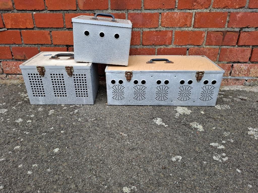 duivenmanden, Dieren en Toebehoren, Postduif