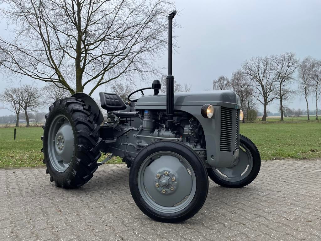 Massey Ferguson TEF 20 Diesel Oldtimer Tractor NIEUWSTAAT, Articles professionnels, Agriculture | Tracteurs, Massey Ferguson, Enlèvement