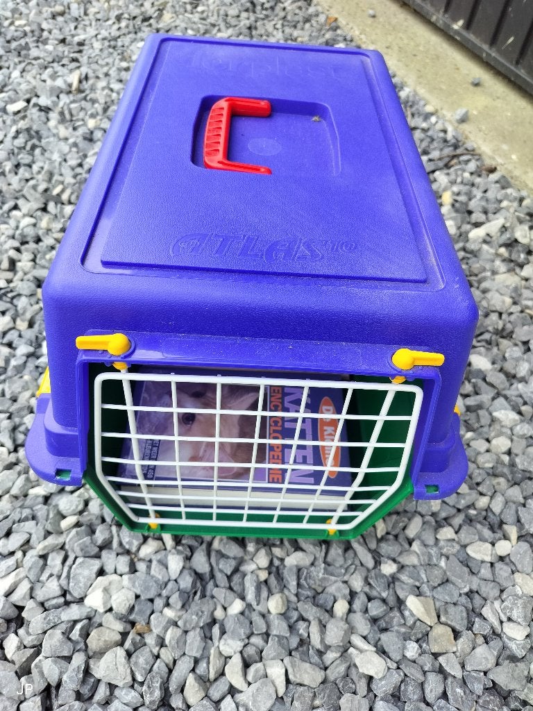 Transport bak voor kat of kleine huisdieren., Ophalen, Zo goed als nieuw, Gesloten