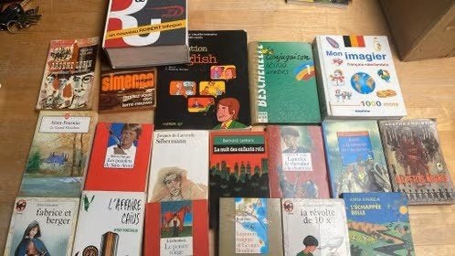 Lot de 19 livres romans pour l'ecole secondaire, Enlèvement ou Envoi, Secondaire