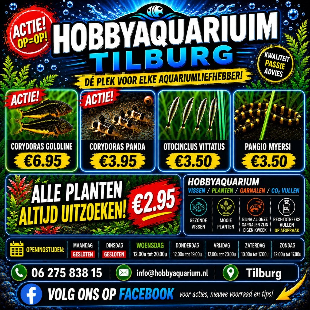 aktie&overzicht  vissen/garnalen Zondag 6 september  12/17u, Zoetwatervis