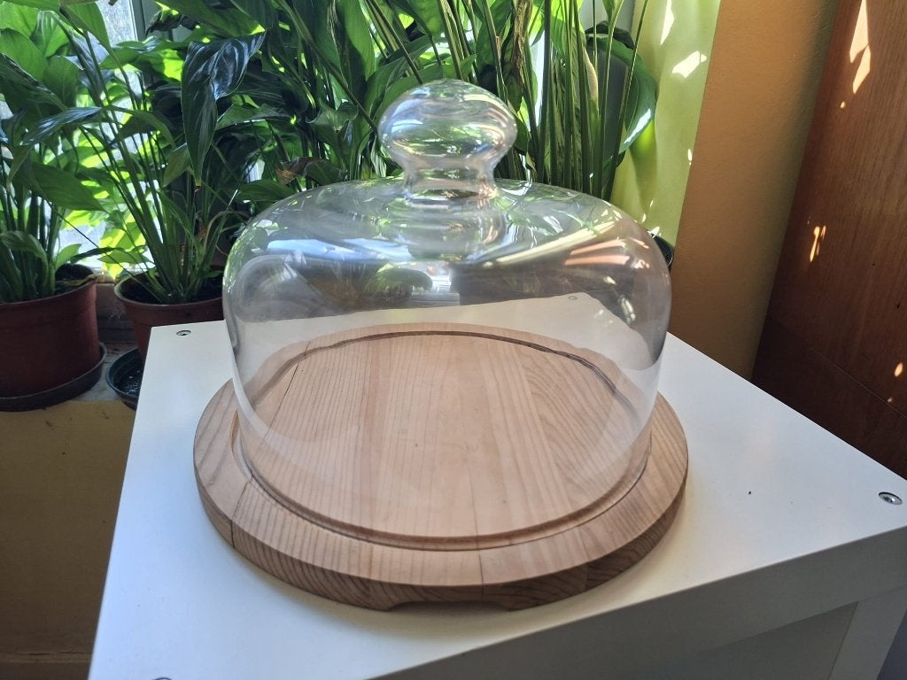 glazen stolp, Verre, Enlèvement, Comme neuf, 24 cm