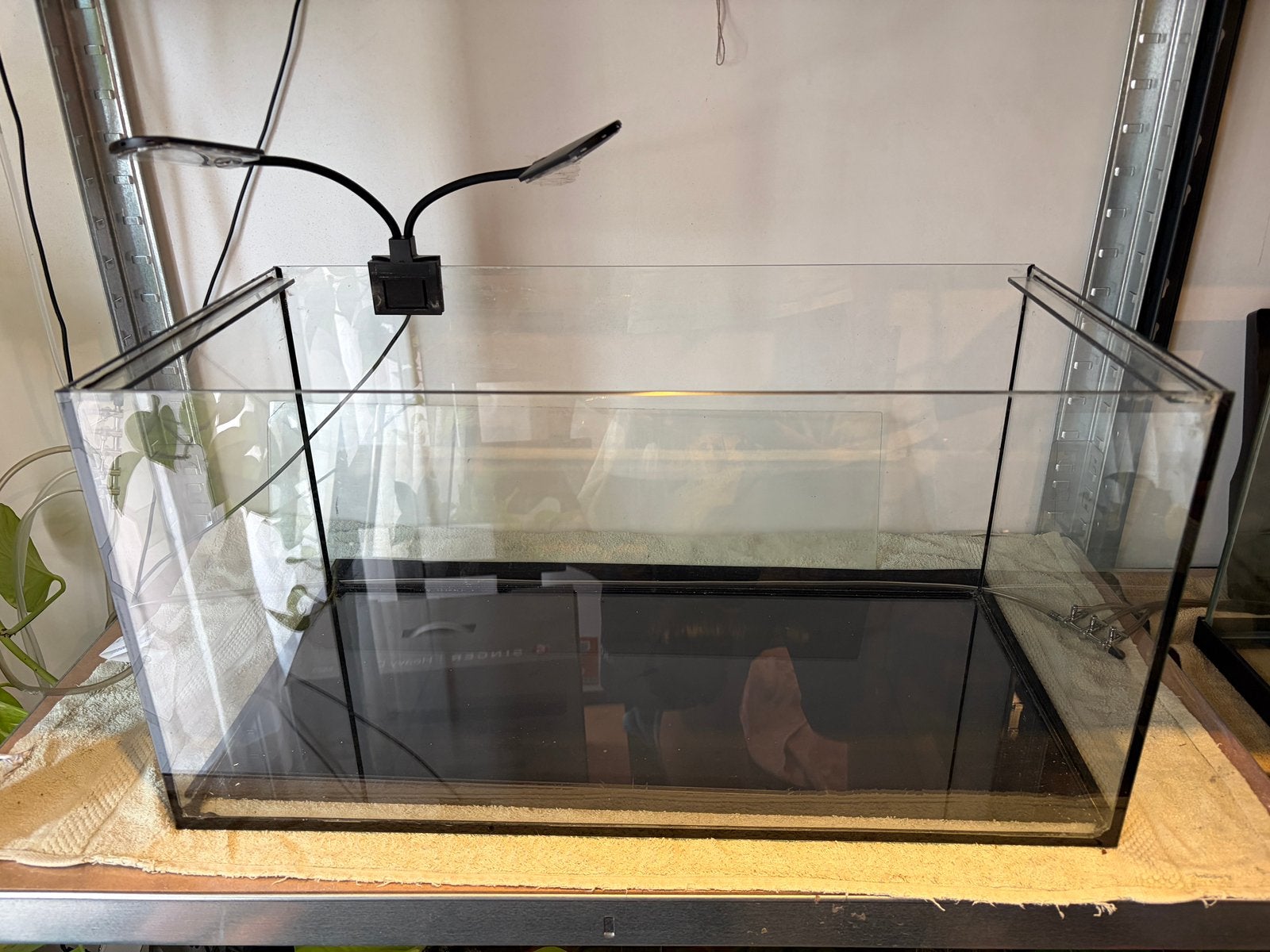 Kweek aquarium met toebehoren, Dieren en Toebehoren, Ophalen, Inclusief deksel, Gebruikt, Leeg aquarium