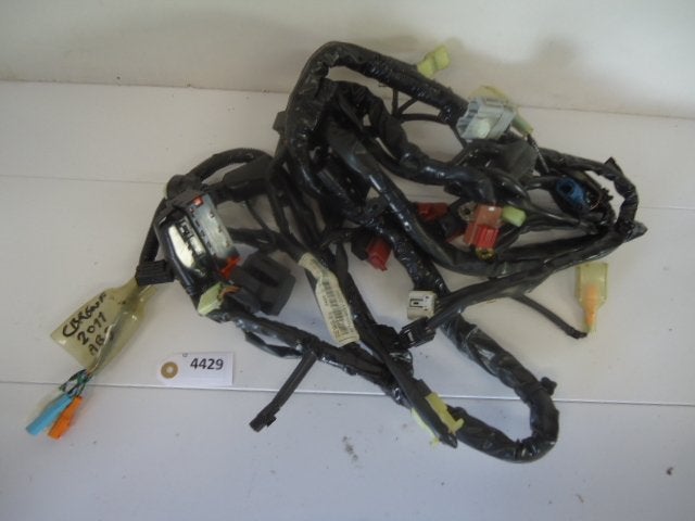 CBR600F 2011 - 2013 Honda Kabelboom Kabelboom hoofd D1-16742